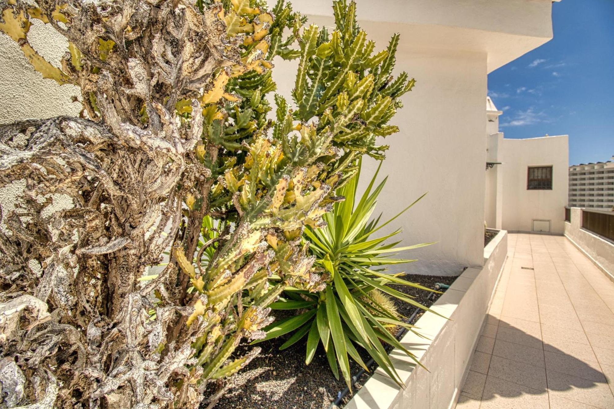 Ferienwohnung Penthouse Sea View Jacuzzy Terrace & Pool Playa Feñabe Exterior foto