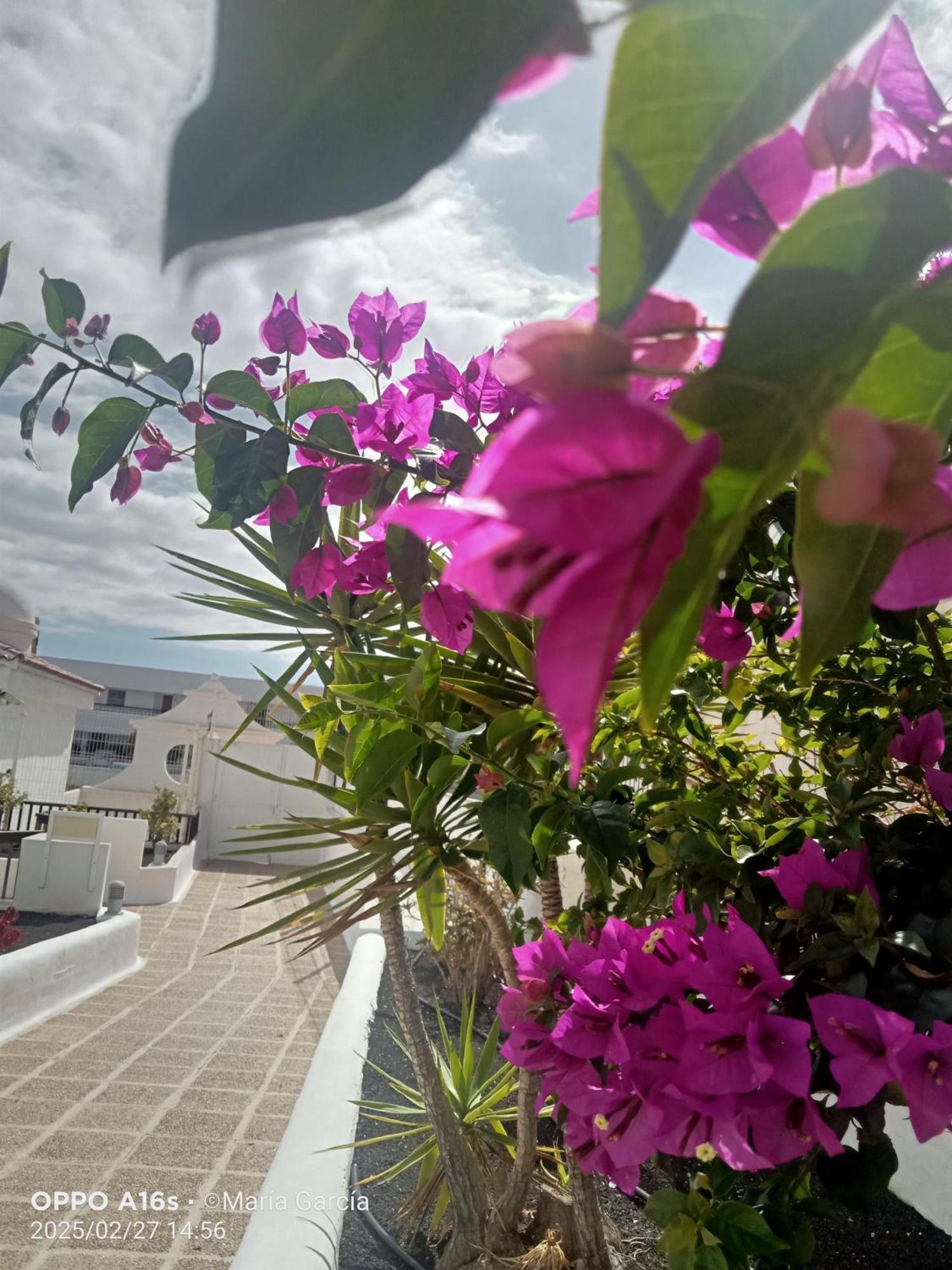 Ferienwohnung Penthouse Sea View Jacuzzy Terrace & Pool Playa Feñabe Exterior foto